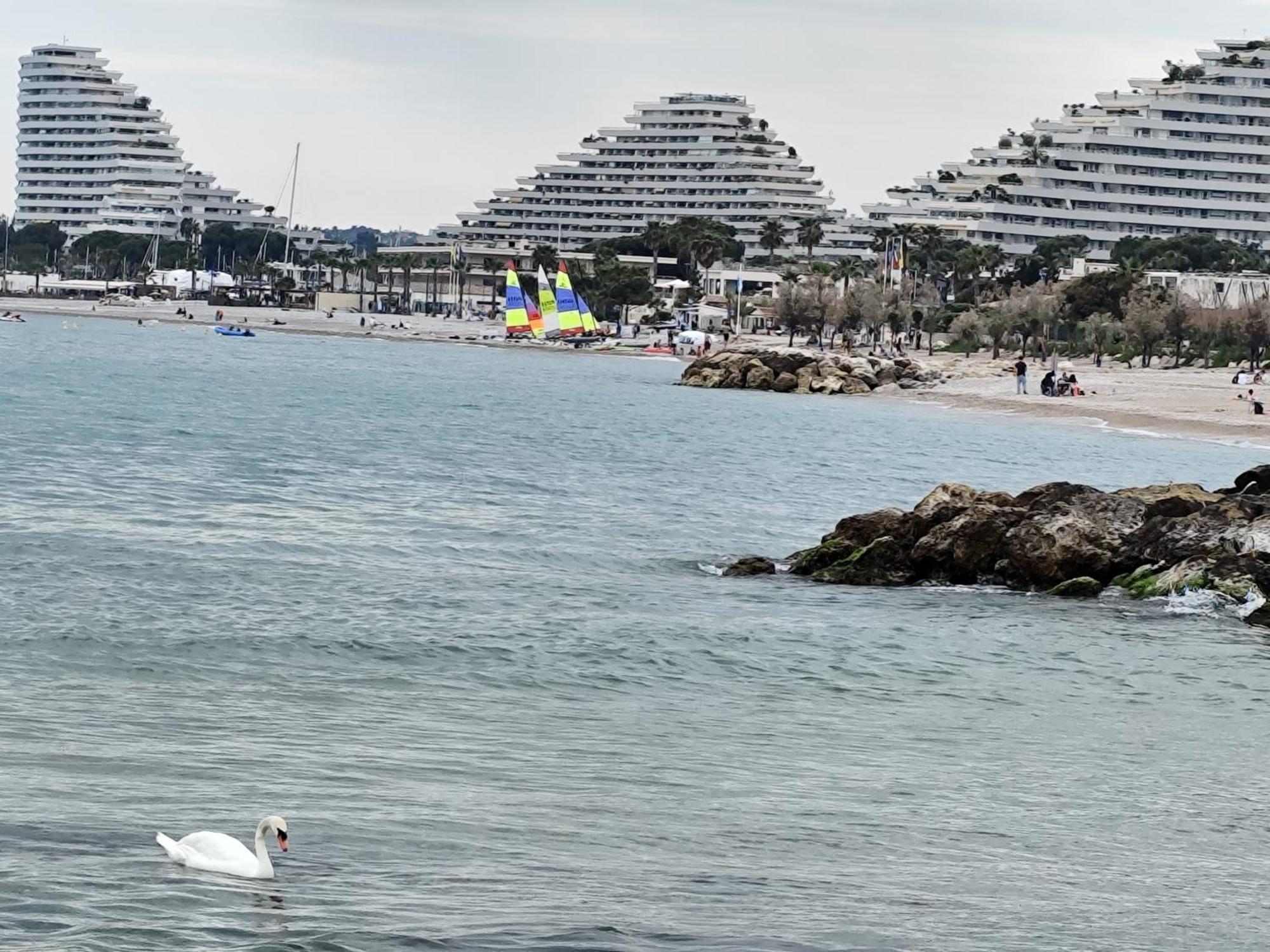 La Marina - T2 Villeneuve-Loubet
